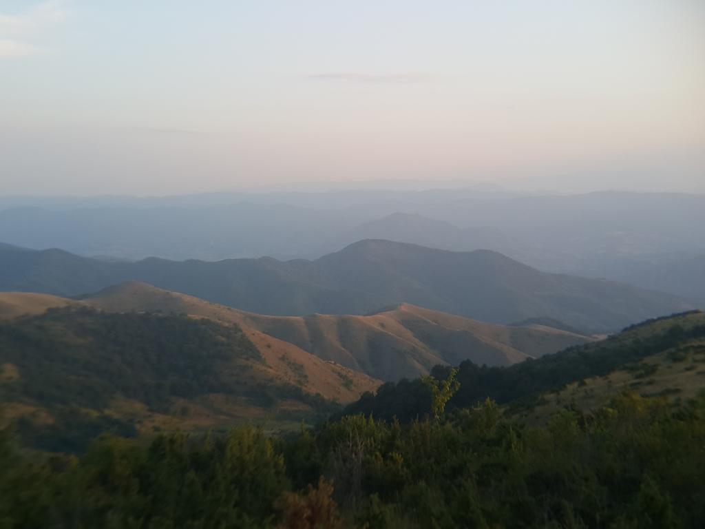 Apartment Planinska Carolija Kopaonik Zewnętrze zdjęcie